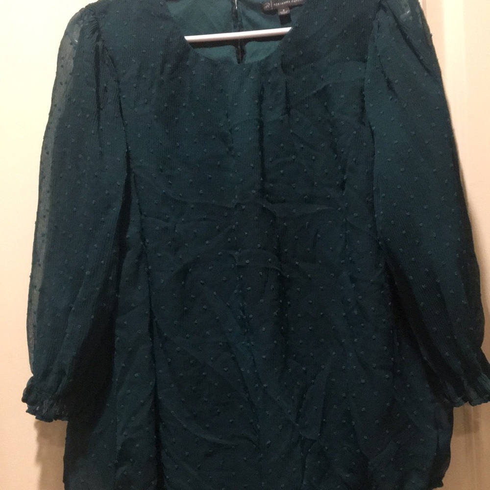 Adrianna Papell green embroider detail top blouse sheer sleeves ruffle lined S